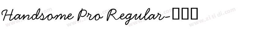 Handsome Pro Regular字体转换
